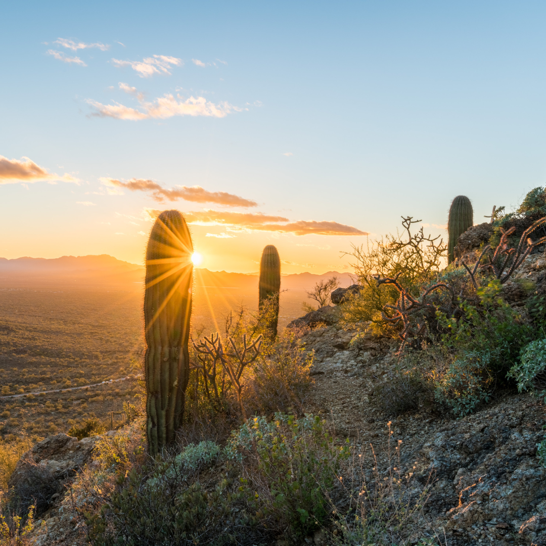 What it's like to attend The Tucson Gem Show as a Jewelry Designer